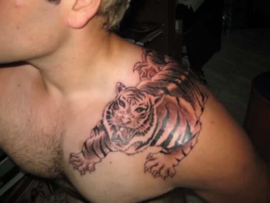 tiger crawling over shoulder tattoo